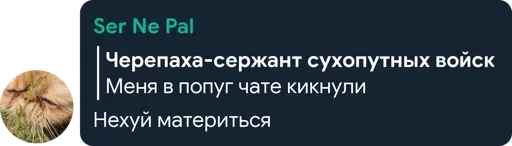 🤔 Стикер «Цетатги» для Telegram