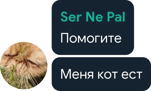 🤔 Стикер «Цетатги» для Telegram