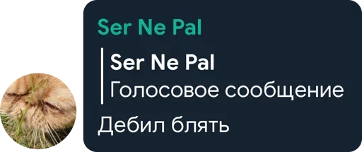 🤔 Стикер «Цетатги» для Telegram