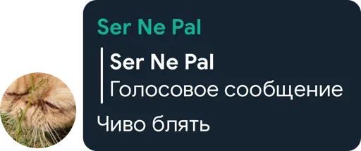🤔 Стикер «Цетатги» для Telegram