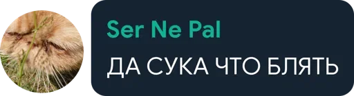 🤔 Стикер «Цетатги» для Telegram