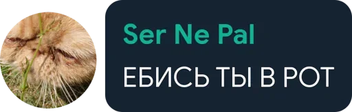 🤔 Стикер «Цетатги» для Telegram