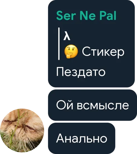 🤔 Стикер «Цетатги» для Telegram