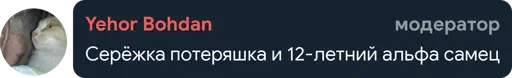 🤔 Стикер «Цетатги» для Telegram