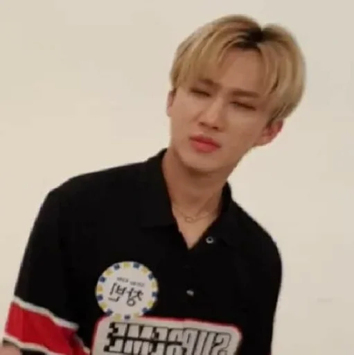 🥵 Стикер «CHANGBIN» для Telegram
