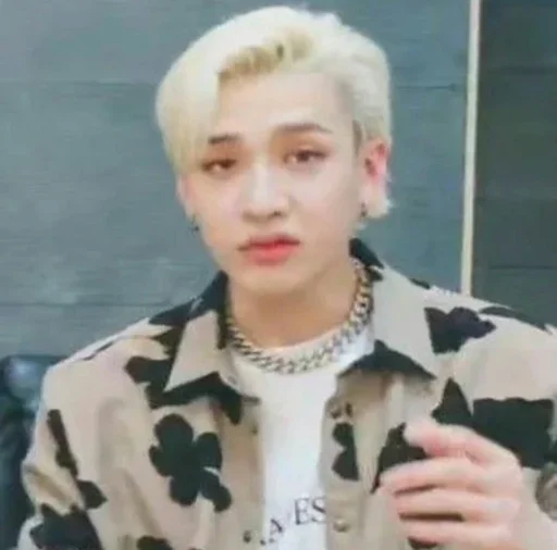 🙄 Стикер «bangchan» для Telegram