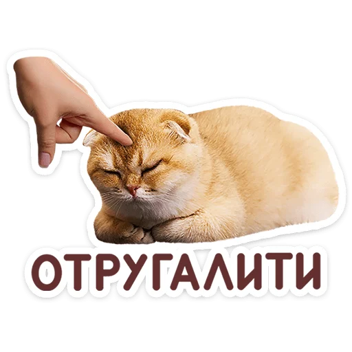🐱 Стикер «Котятки» для Telegram