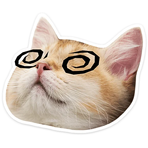 🐱 Стикер «Котятки» для Telegram