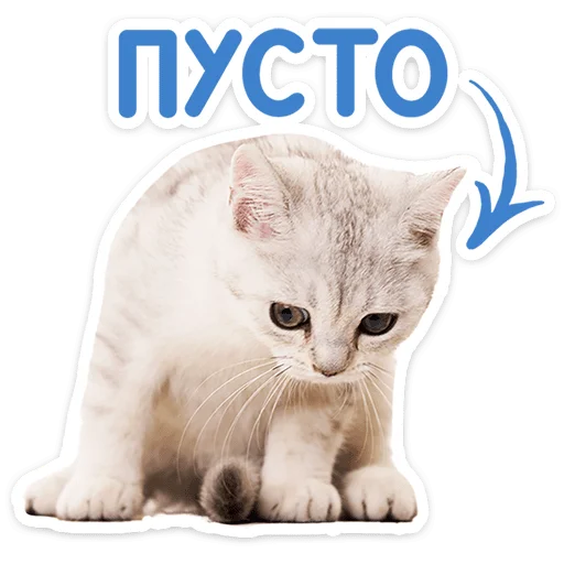 🐱 Стикер «Котятки» для Telegram