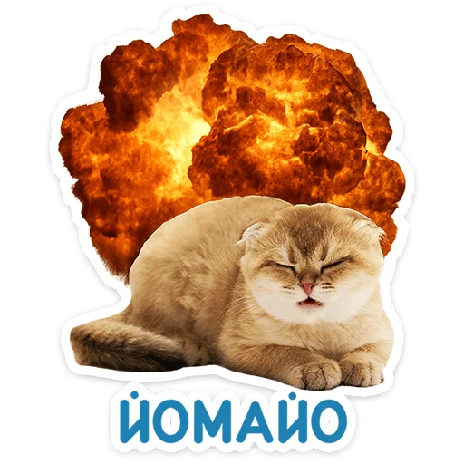 🐱 Стикер «Котятки» для Telegram