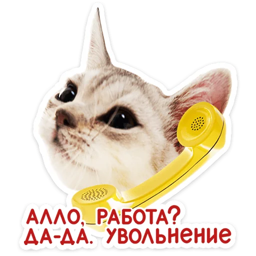🐱 Стикер «Котятки» для Telegram