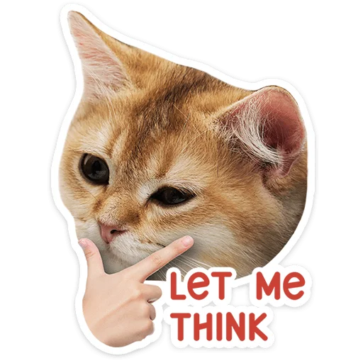 🐱 Стикер «Котятки» для Telegram