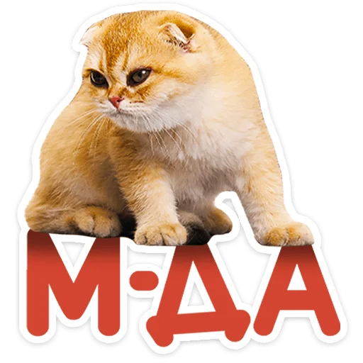 🐱 Стикер «Котятки» для Telegram