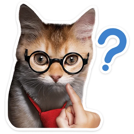 🐱 Стикер «Котятки» для Telegram