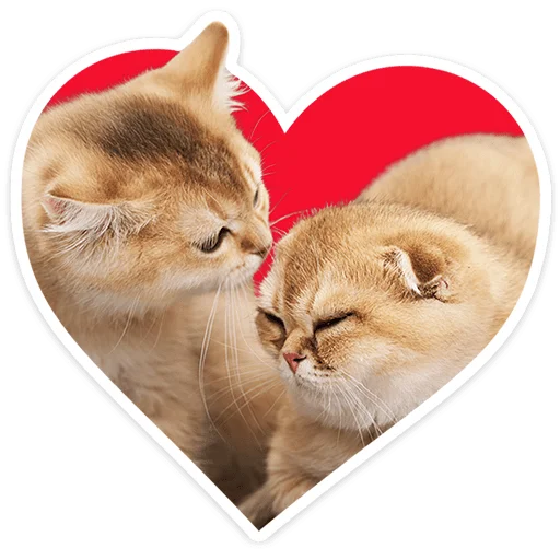 🐱 Стикер «Котятки» для Telegram