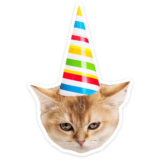 🐱 Стикер «Котятки» для Telegram