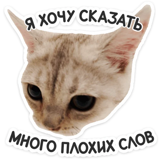 🐱 Стикер «Котятки» для Telegram