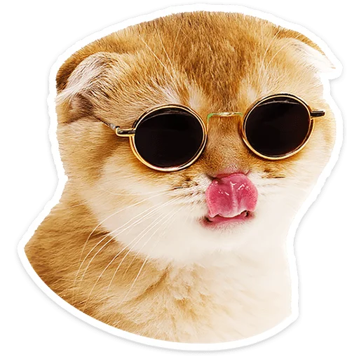🐱 Стикер «Котятки» для Telegram