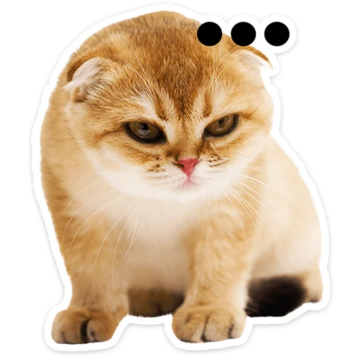 🐱 Стикер «Котятки» для Telegram
