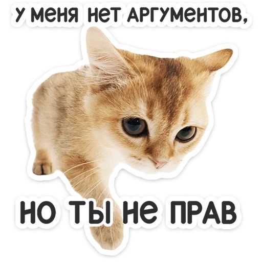 🐱 Стикер «Котятки» для Telegram