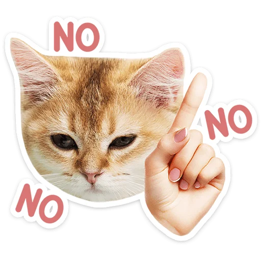 🐱 Стикер «Котятки» для Telegram