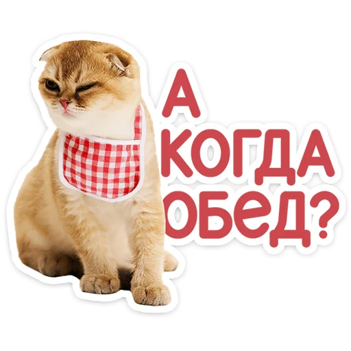 🐱 Стикер «Котятки» для Telegram