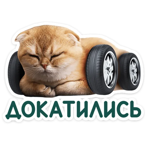 🐱 Стикер «Котятки» для Telegram