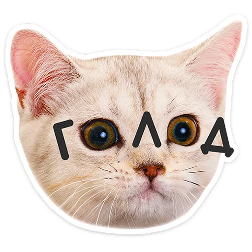 🐱 Стикер «Котятки» для Telegram