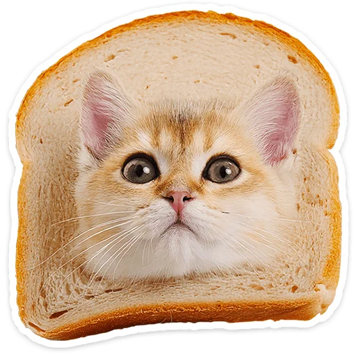 🐱 Стикер «Котятки» для Telegram