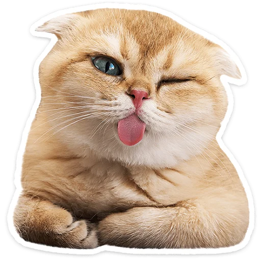 🐱 Стикер «Котятки» для Telegram