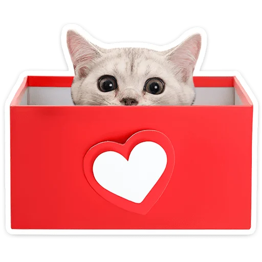 🐱 Стикер «Котятки» для Telegram