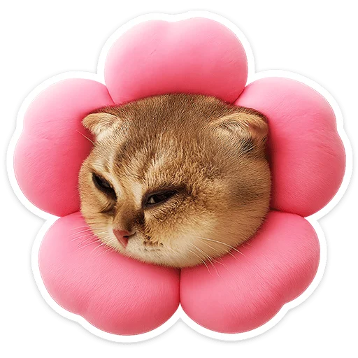 🐱 Стикер «Котятки» для Telegram
