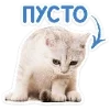 Стикер 35 Набор эмоджи с котятками из ВК