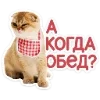 Стикер 24 Набор эмоджи с котятками из ВК