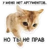Стикер 21 Набор эмоджи с котятками из ВК