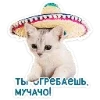 Стикер 22 Набор эмоджи с котятками из ВК