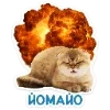Стикер 23 Набор эмоджи с котятками из ВК