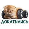 Стикер 33 Набор эмоджи с котятками из ВК