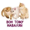 Стикер 29 Набор эмоджи с котятками из ВК