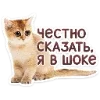 Стикер 15 Набор эмоджи с котятками из ВК