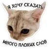 Стикер 6 Набор эмоджи с котятками из ВК