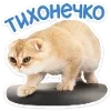 Стикер 19 Набор эмоджи с котятками из ВК