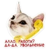 Стикер 27 Набор эмоджи с котятками из ВК