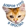 Стикер 32 Набор эмоджи с котятками из ВК