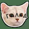 😐 Эмодзи «Котятки» для Telegram