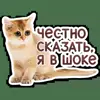 😐 Эмодзи «Котятки» для Telegram
