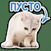 🐈 Эмодзи «Котятки» для Telegram