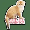 👎 Эмодзи «Котятки» для Telegram