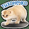 😈 Эмодзи «Котятки» для Telegram
