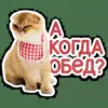 🍽 Эмодзи «Котятки» для Telegram